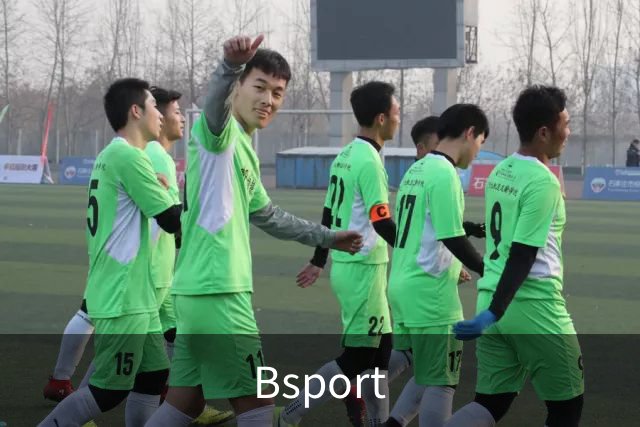 Bsport公司介绍